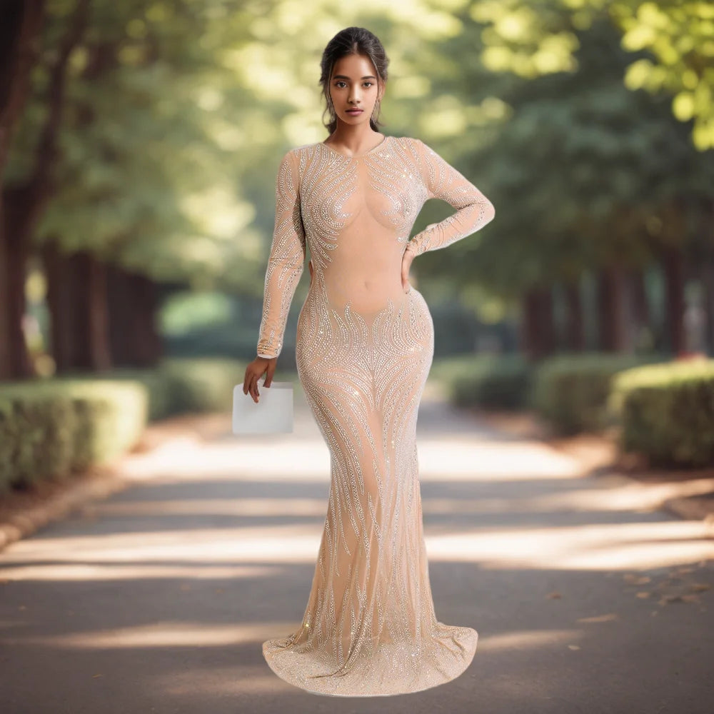 High Quality Party Gown Mermaid Transparent Women Evening Dress