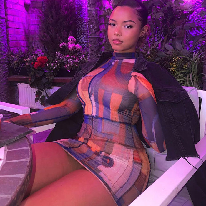 Long Sleeve Bodycon High Neck Printed Body Print Dress