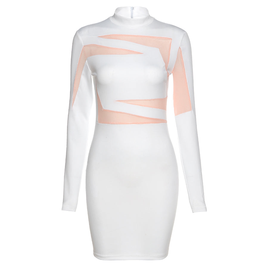 Skinny Patchwork Long Sleeve Dress Turtleneck Women Casual Dress