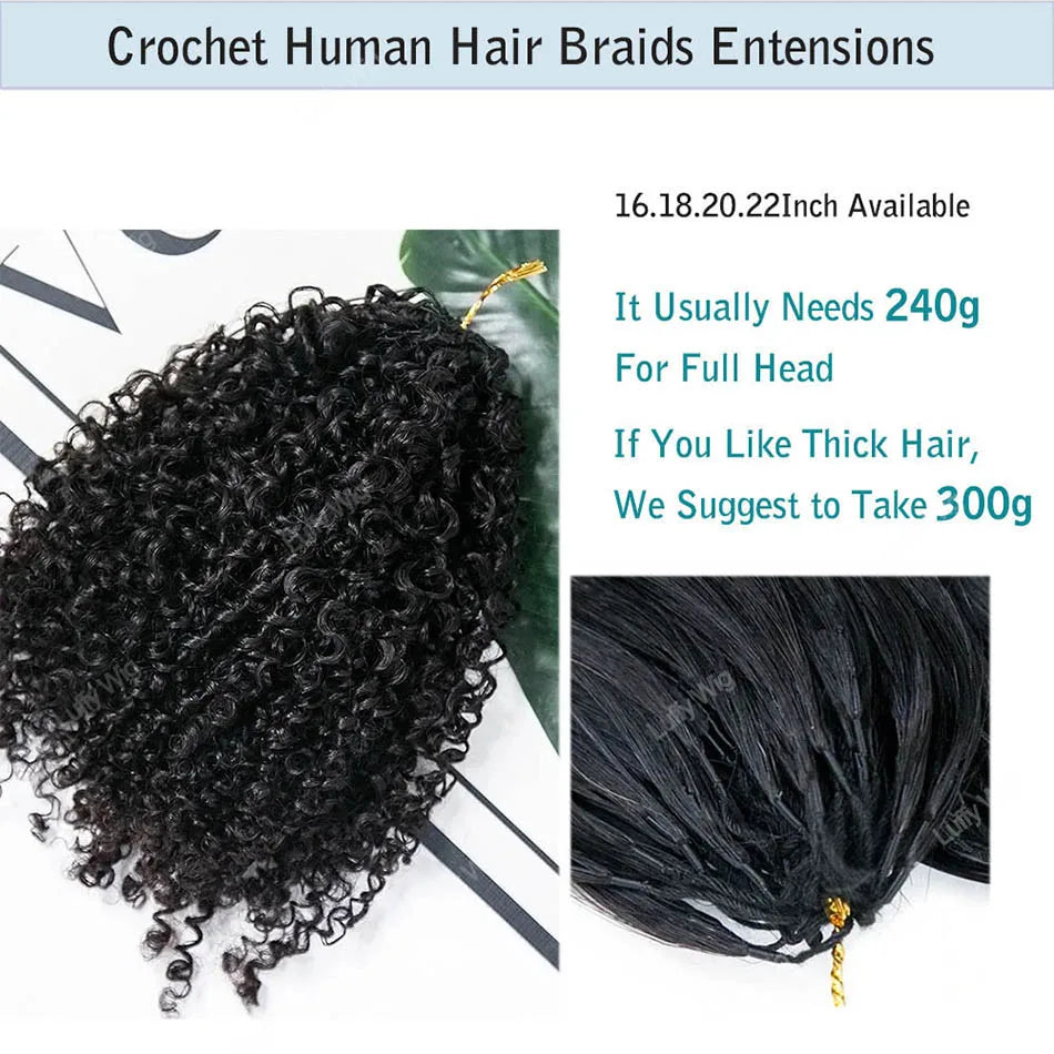 Afro Kinky Curly Human Hair Crochet Braids Extensions Real Mongolian Remy Human Hair Feather Bundles For Braiding 3C 4A Curly