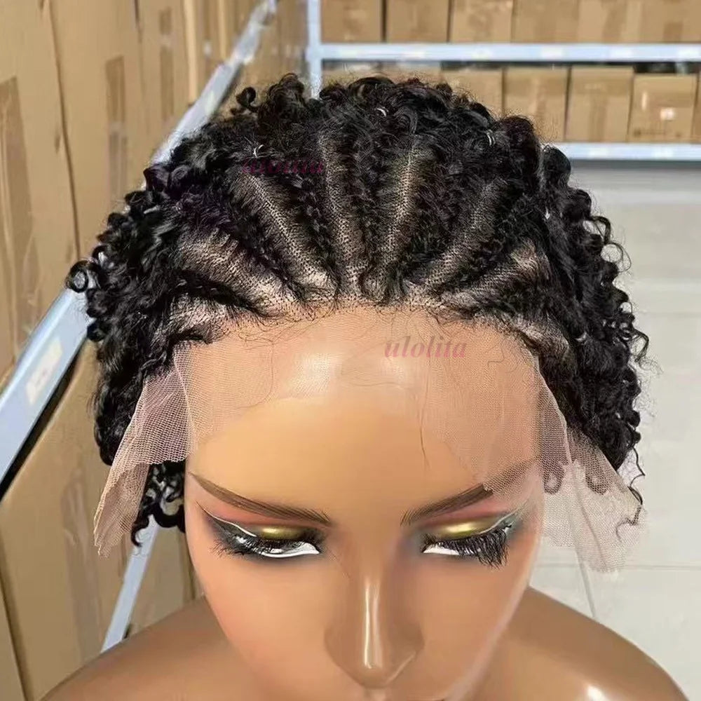13x4 Lace Frontal Afro Curly Wig 100% Brazilian Remy Hair Wigs 6 Inch Kinky Curly Human Hair Wigs with Braids for Black Women