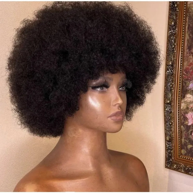 250% Density Afro Kinky Curly 100% Human Hair Explosive Head Wigs Full Machine Brazilian Virgin Hair High Quality Wig For Women